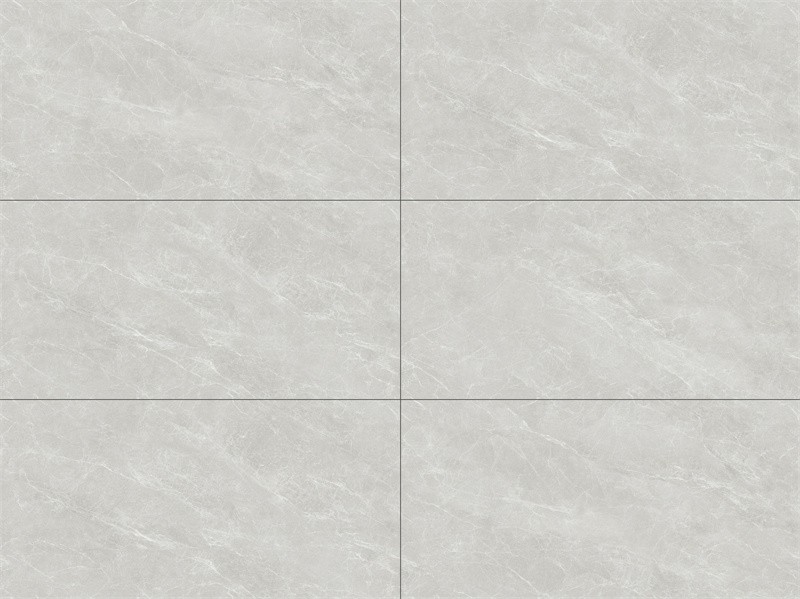 Y48FTC25A-LP 世紀(jì)銀杉